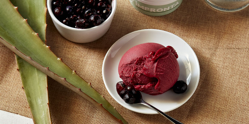 glace cassis aloe vera dans coupelle